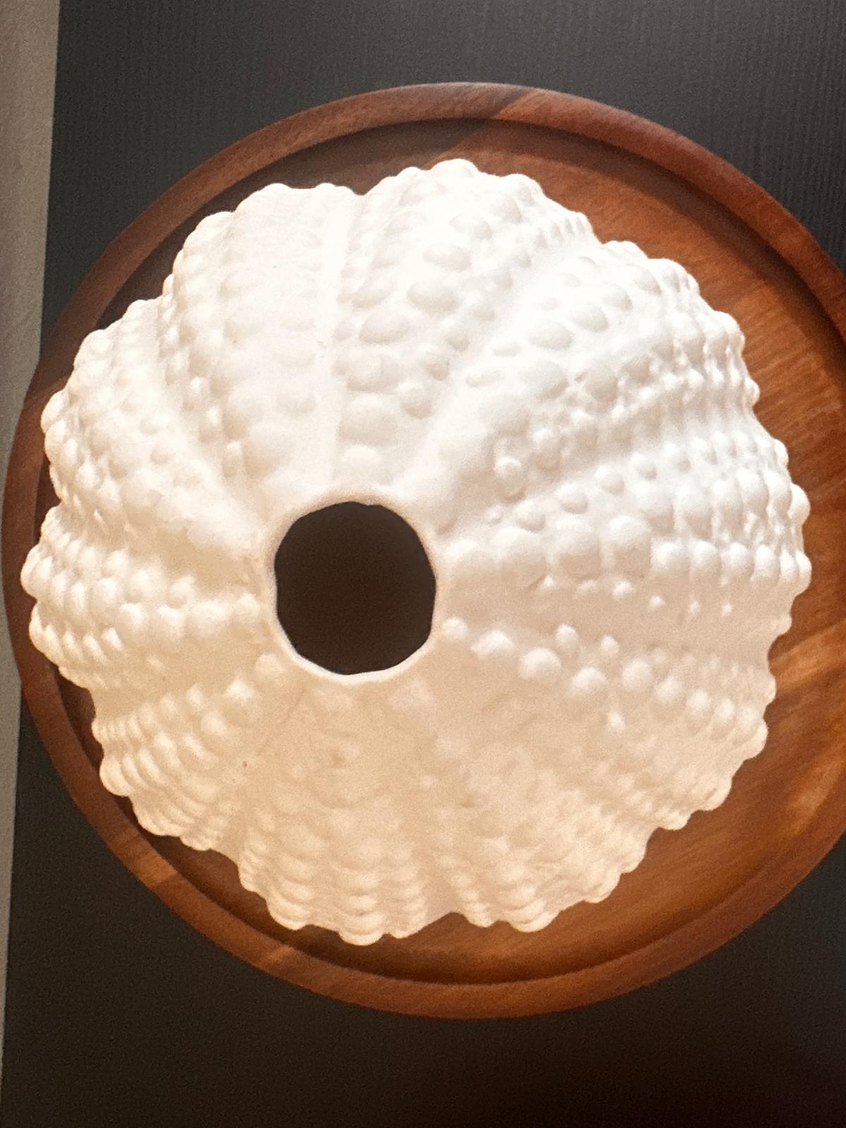 Sea Urchin Vase Coastal Style Shaped Ornament